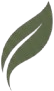 Vision Icon